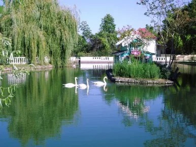 Парк Южные культуры Сириус Прибрежный